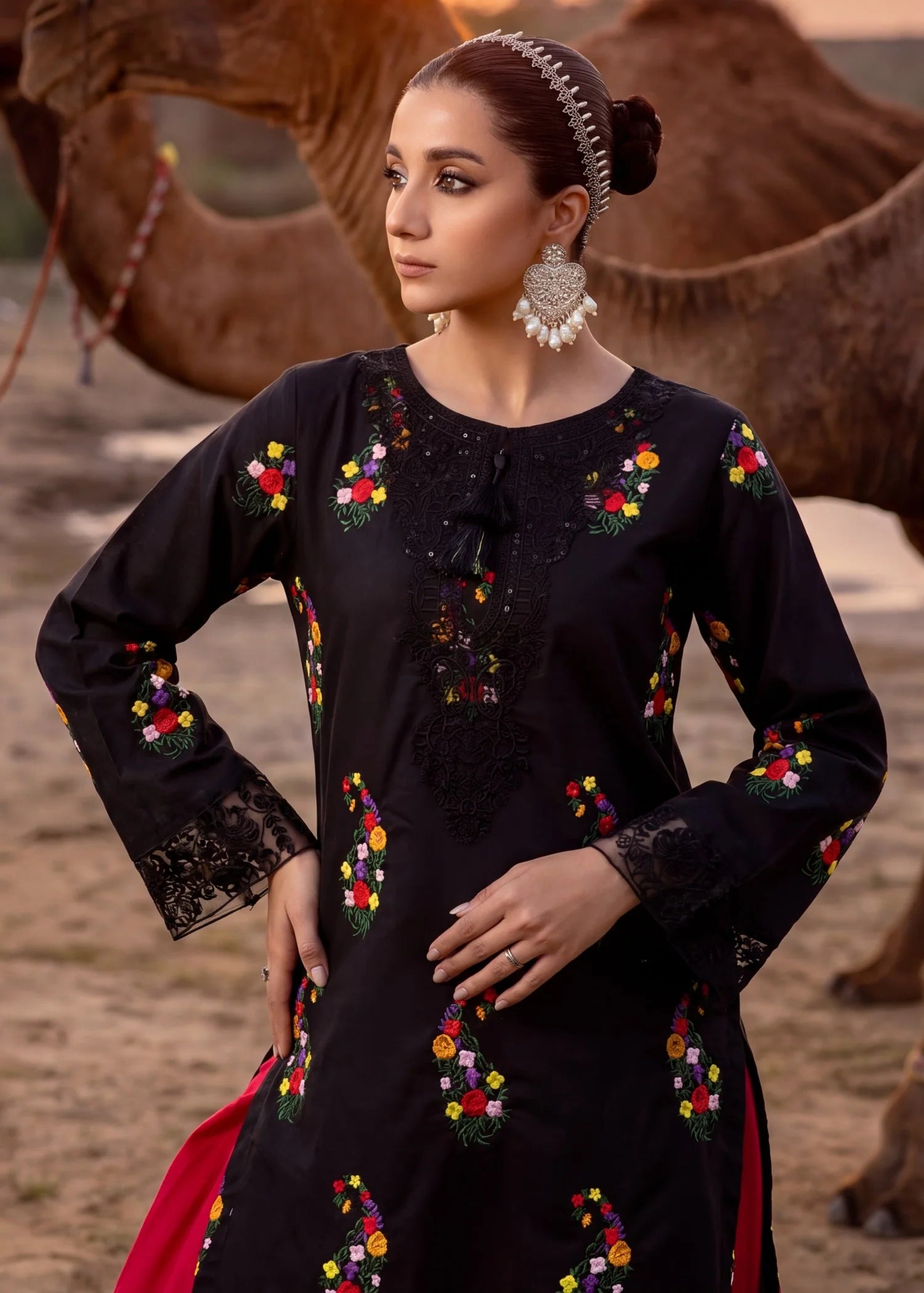 Sahibas by Mirza