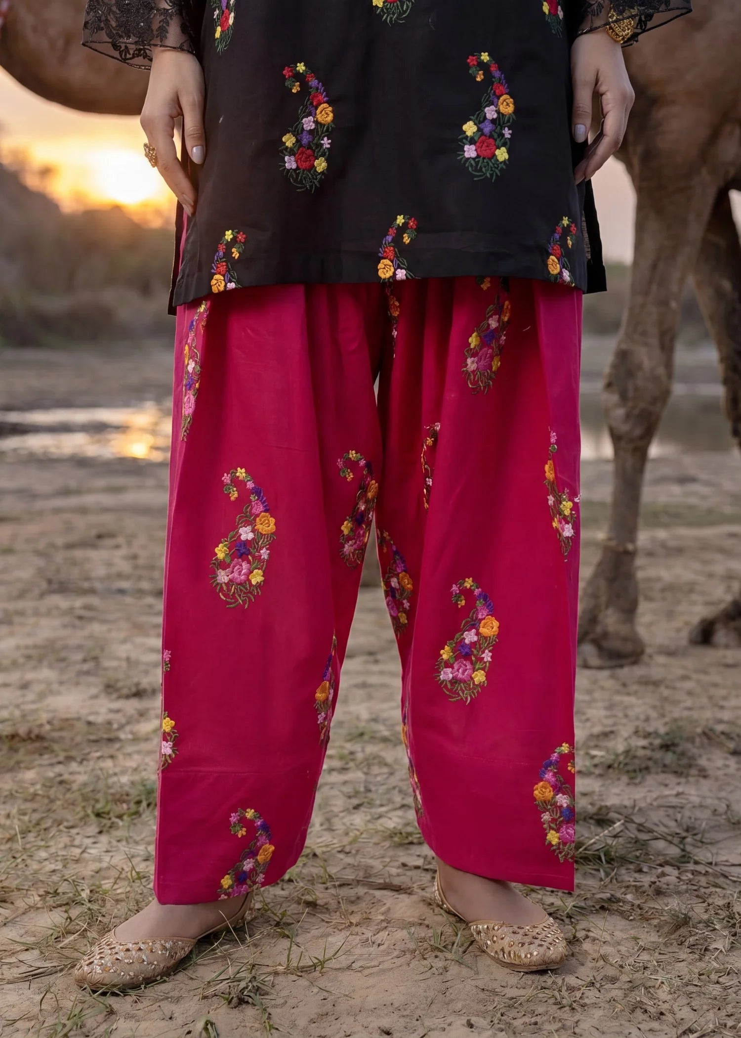 Sahibas by Mirza