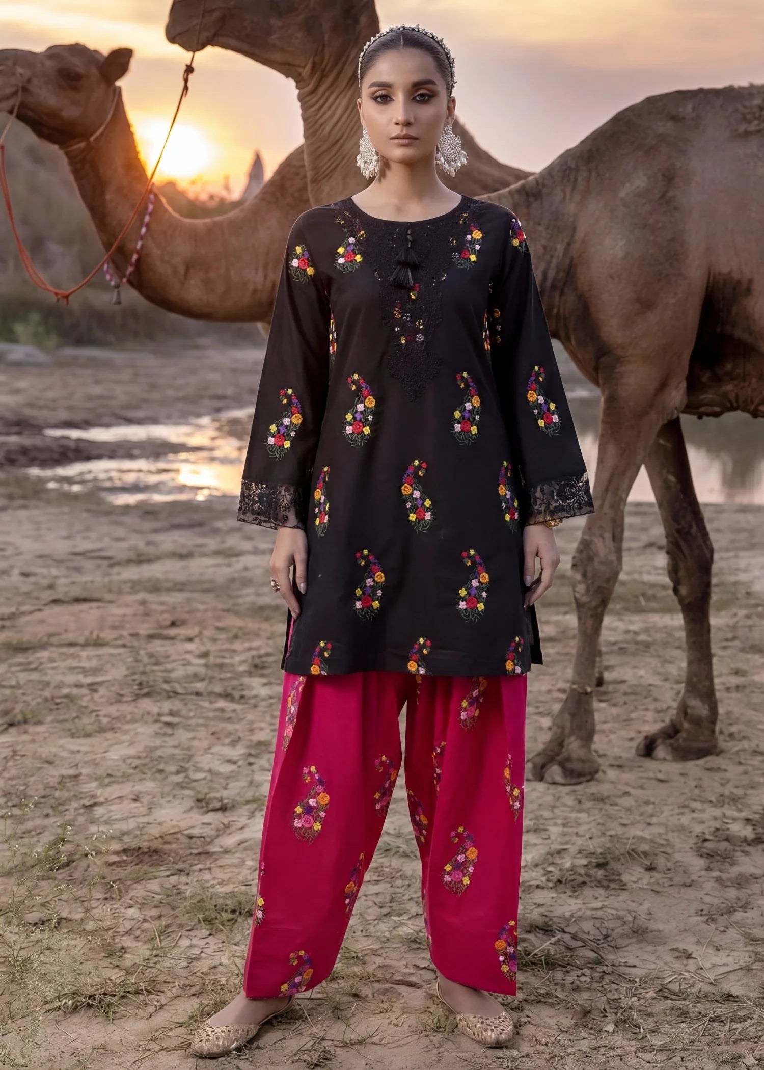 Sahibas by Mirza