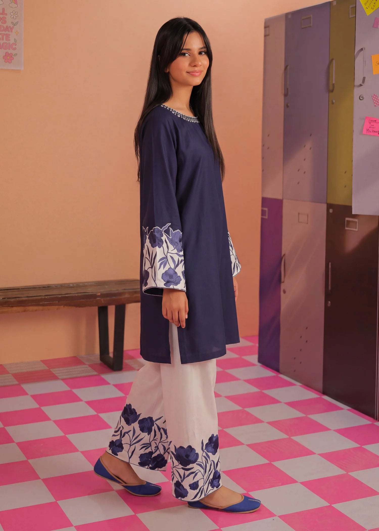 Sahibas by Mirza