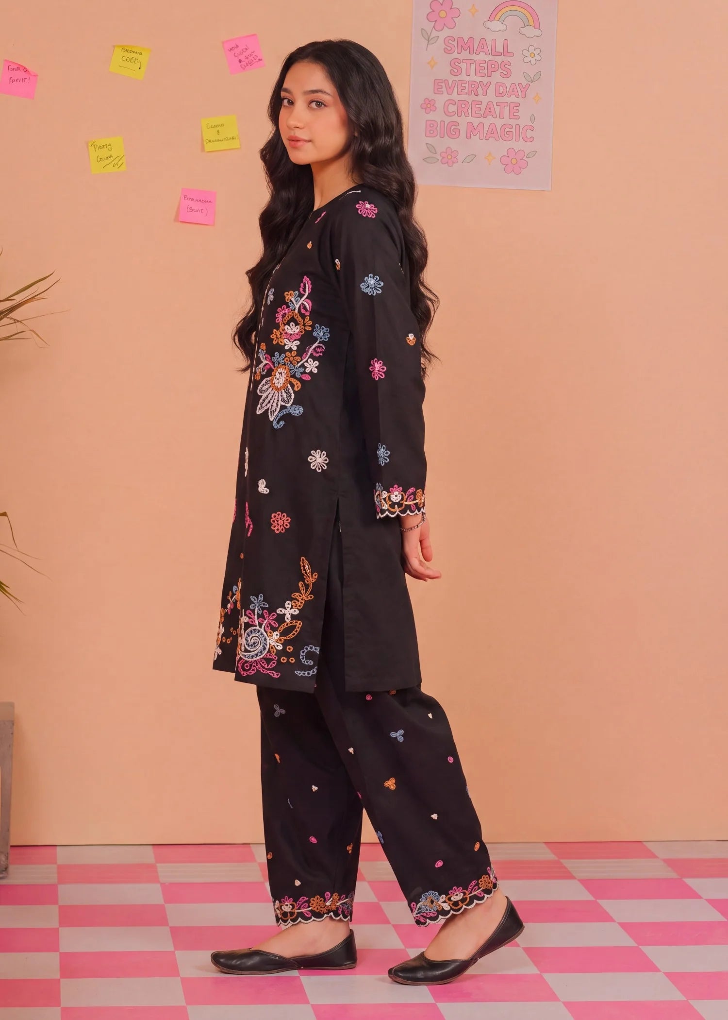 Sahibas by Mirza