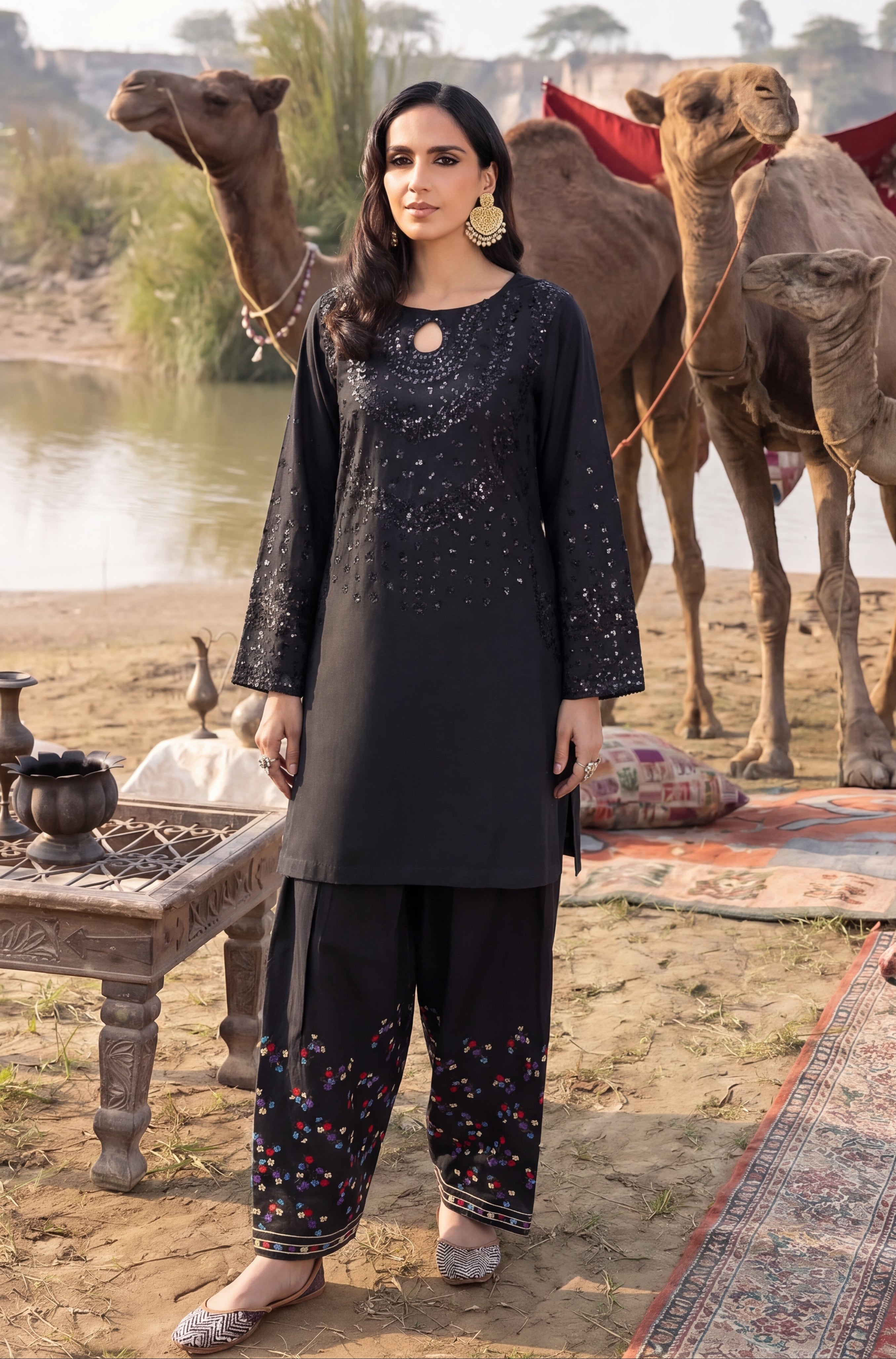 Sahibas by Mirza