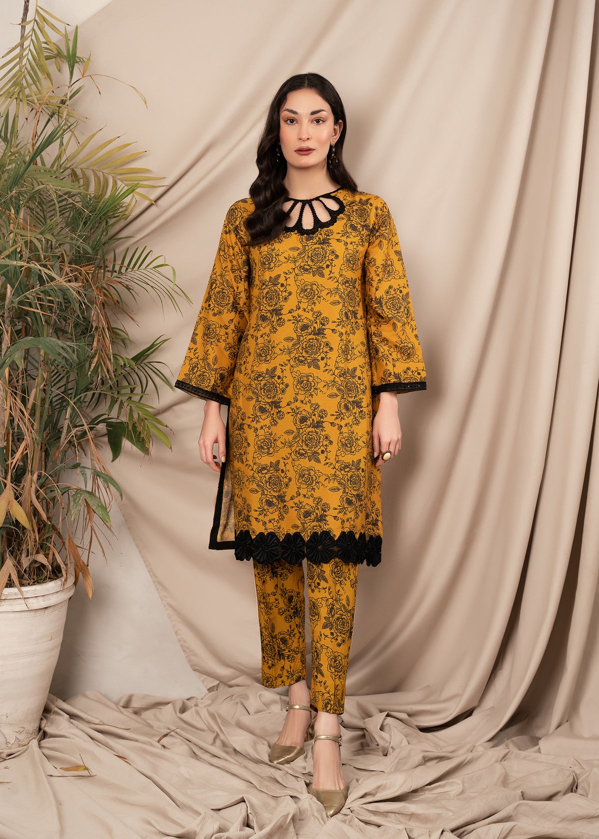 Sahibas by Mirza