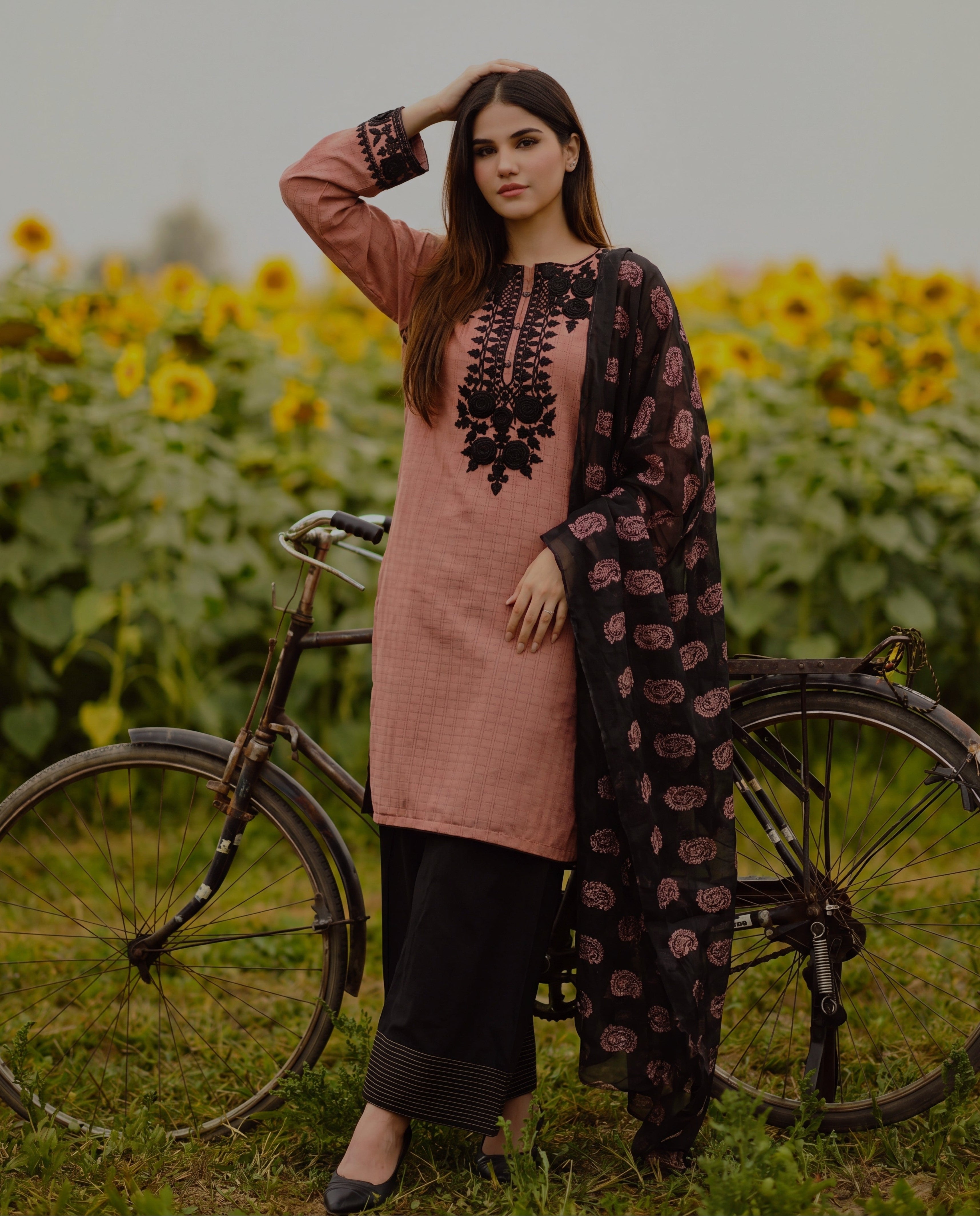 Sahibas by Mirza