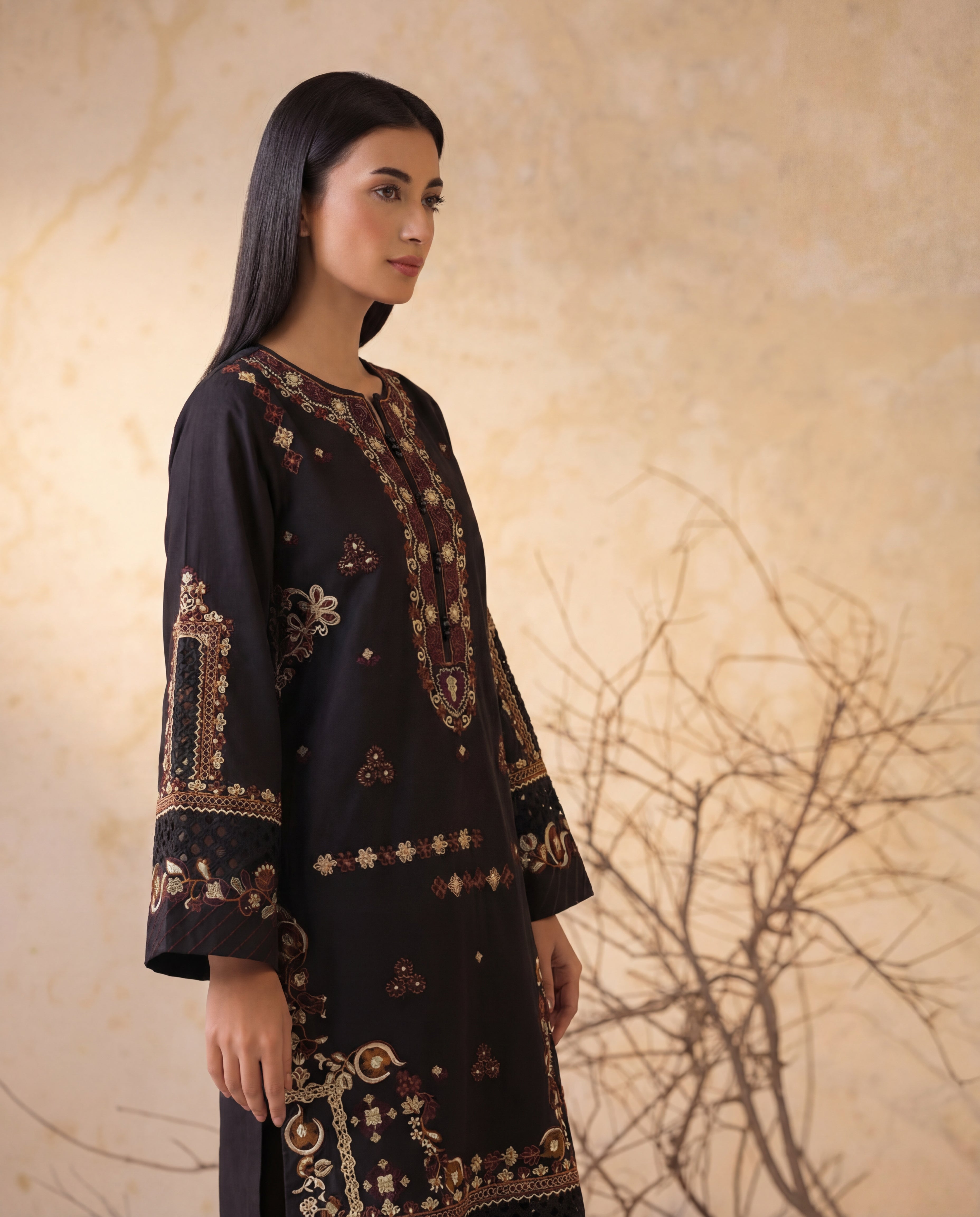 Sahibas by Mirza