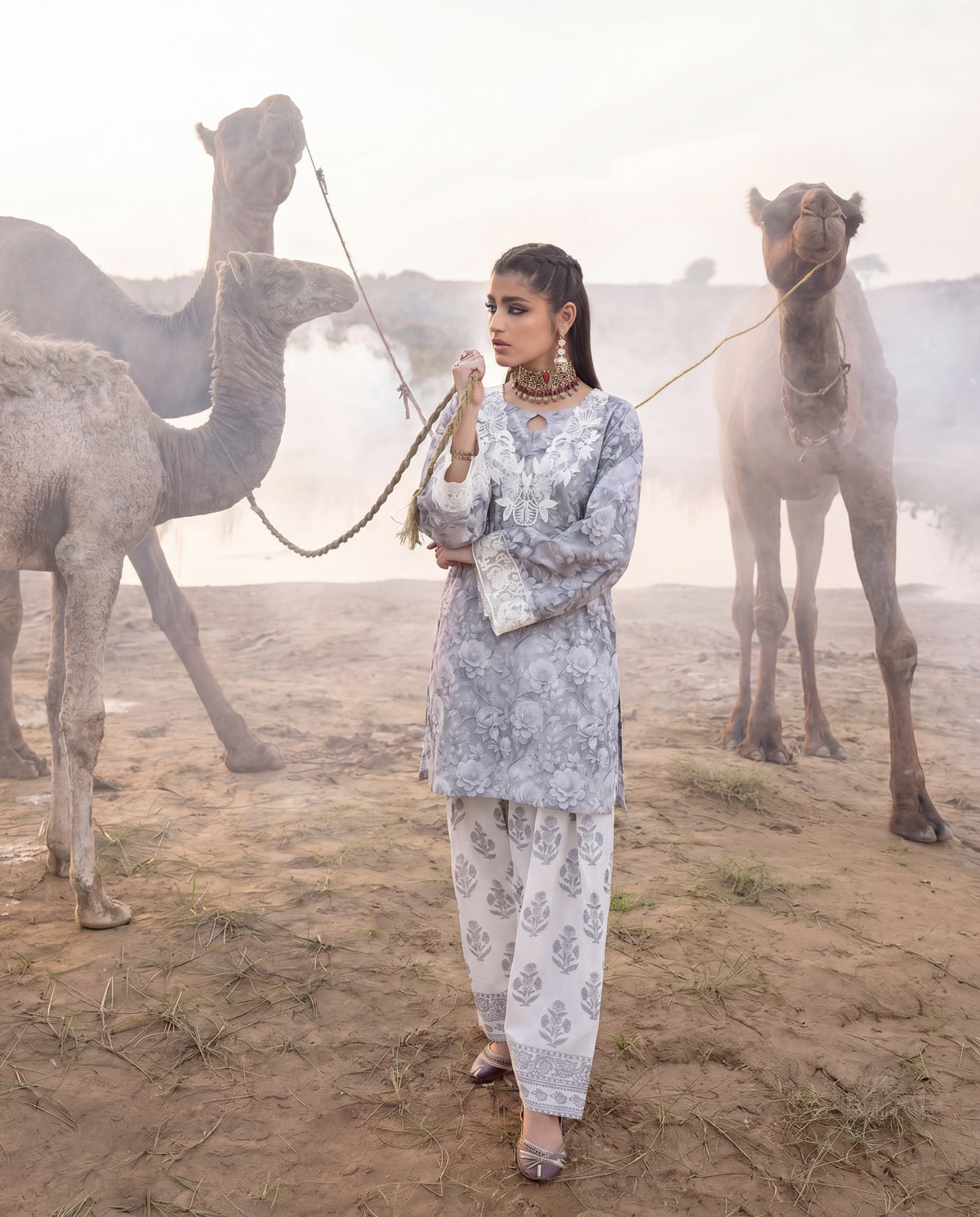 Sahibas by Mirza