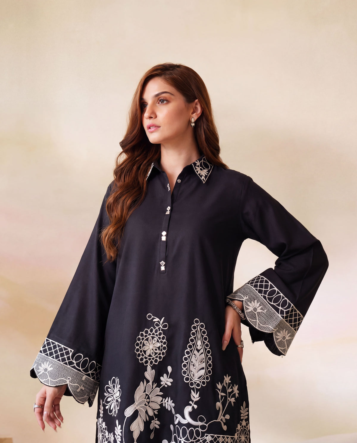 Sahibas by Mirza