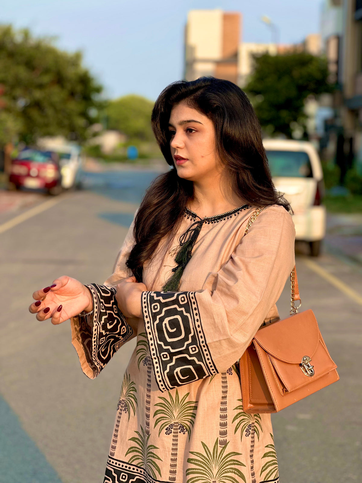 Sahibas by Mirza