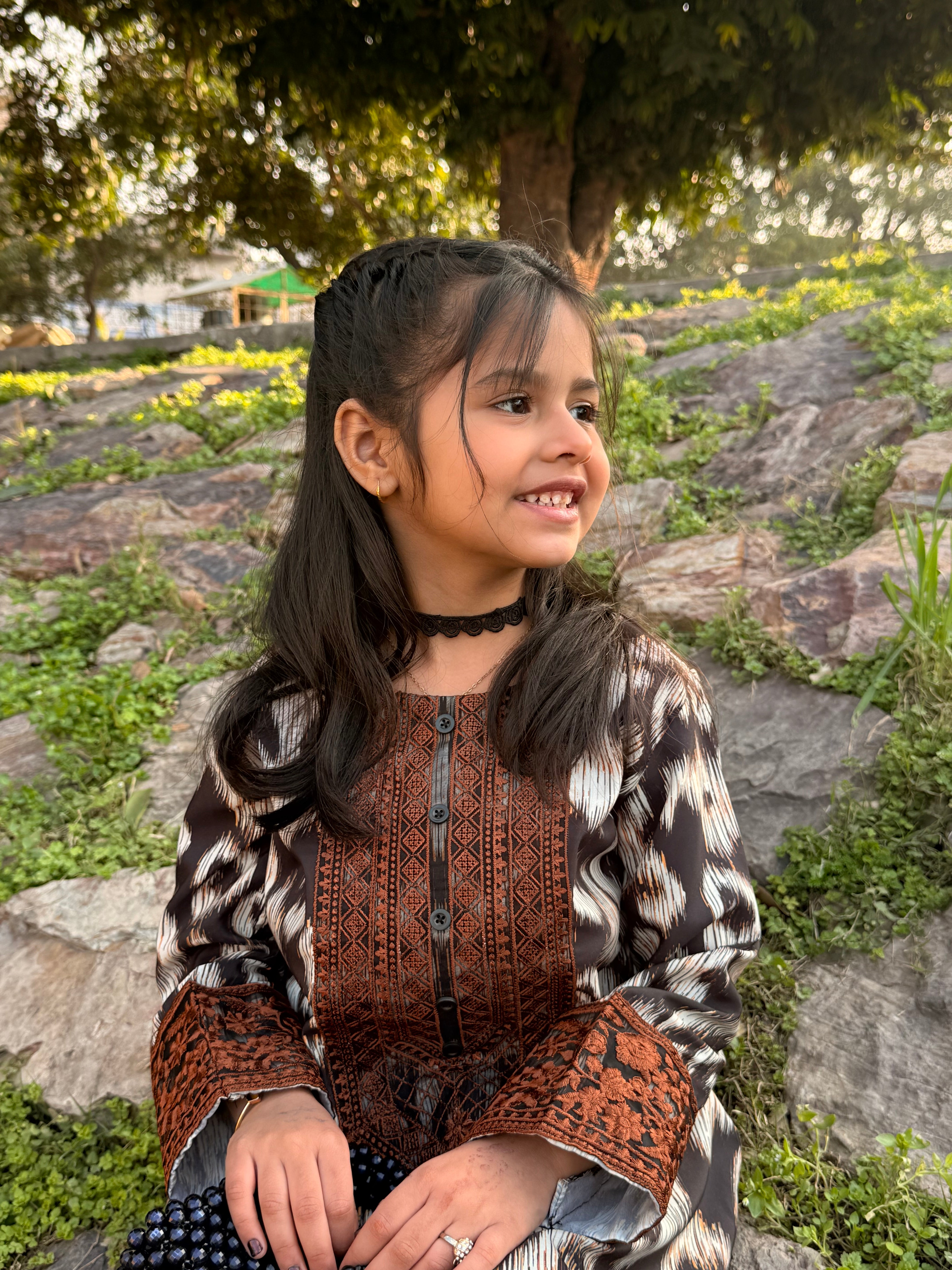 Sahibas by Mirza