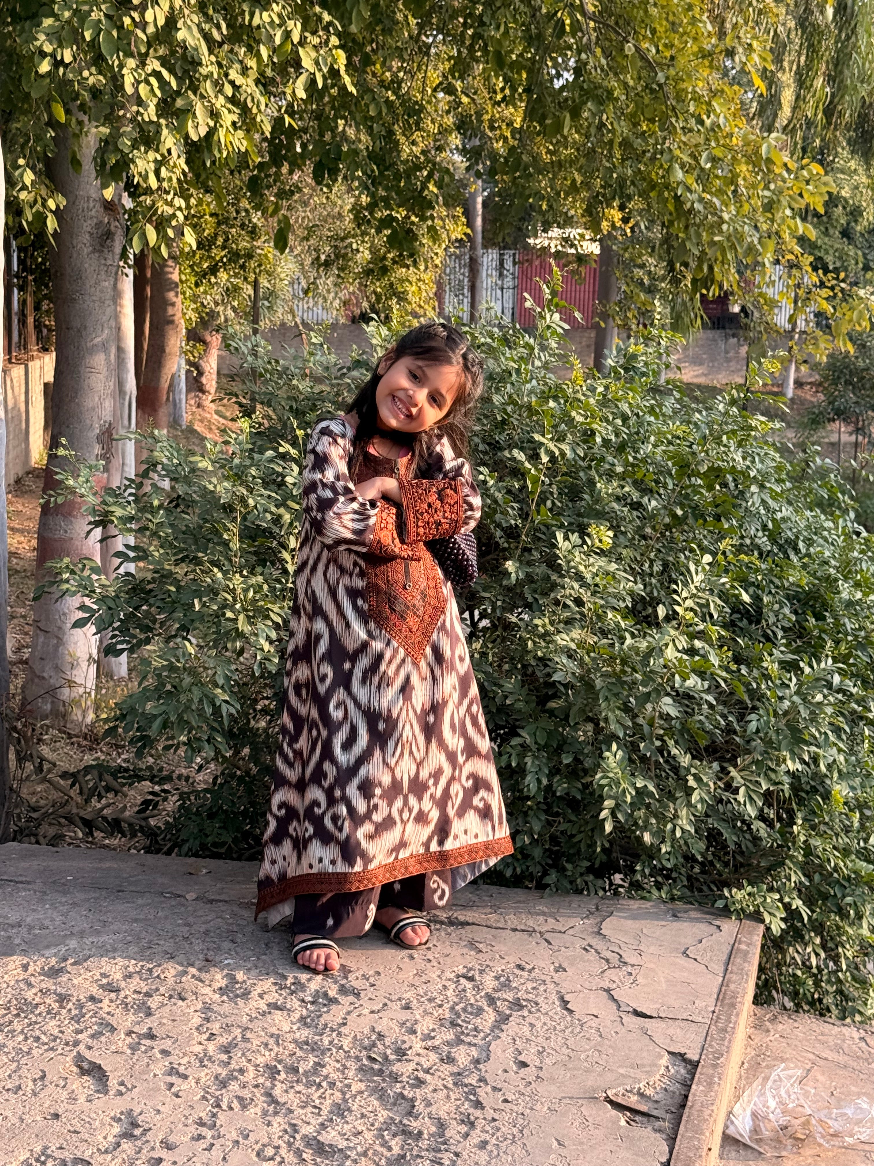 Sahibas by Mirza