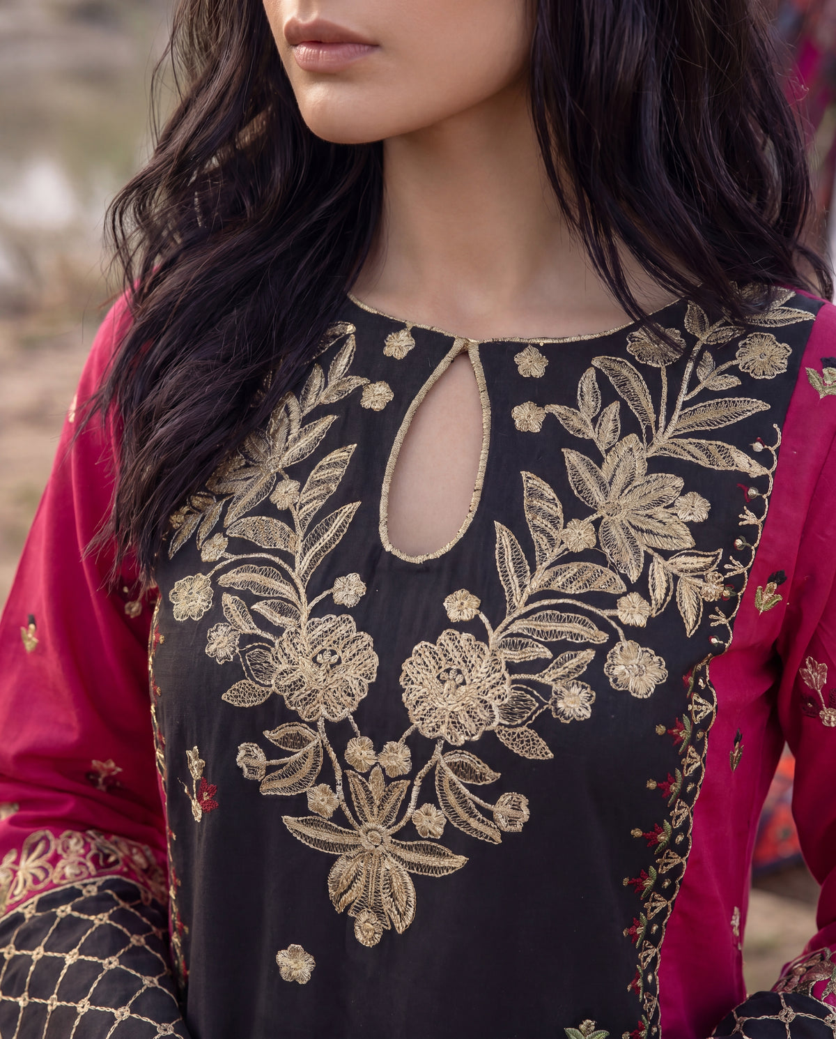 Sahibas by Mirza