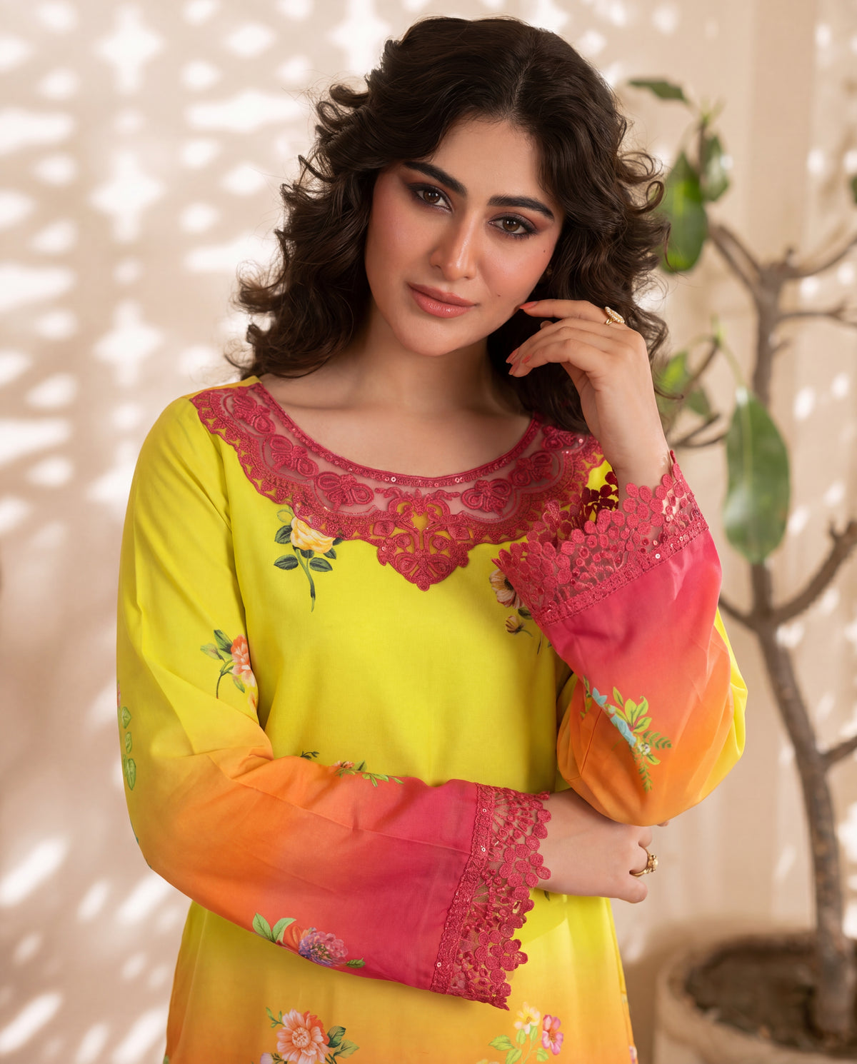 Sahibas by Mirza