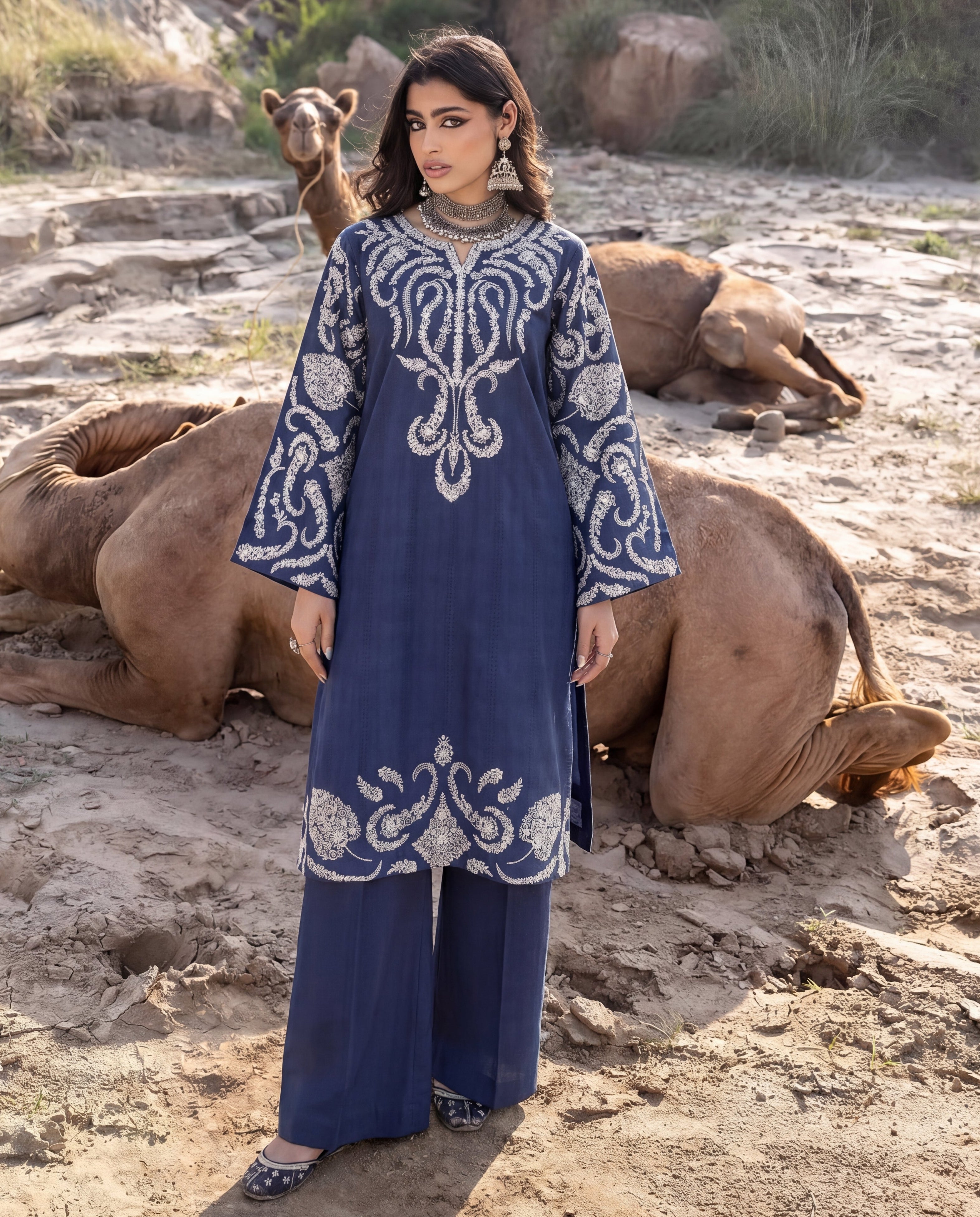 Sahibas by Mirza