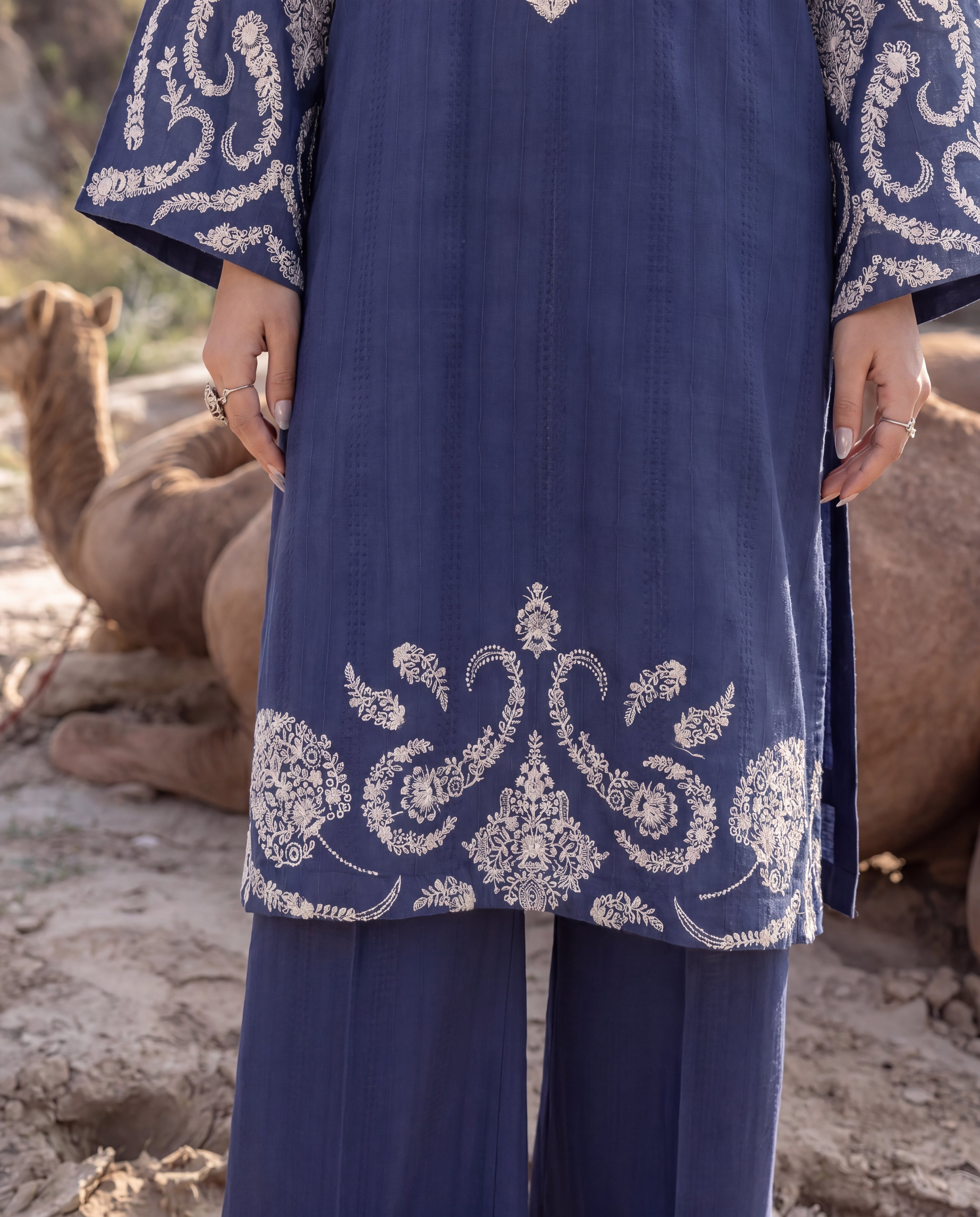 Sahibas by Mirza