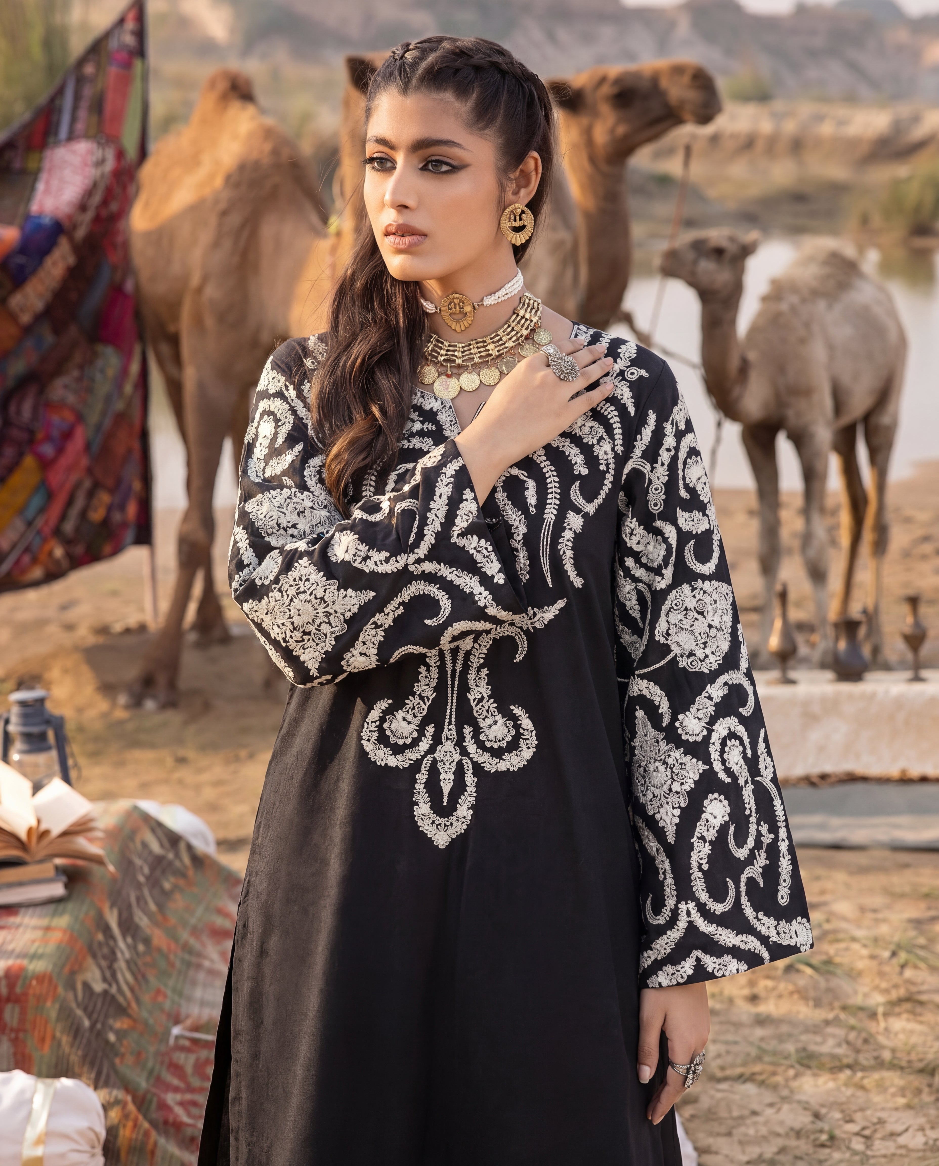 Sahibas by Mirza