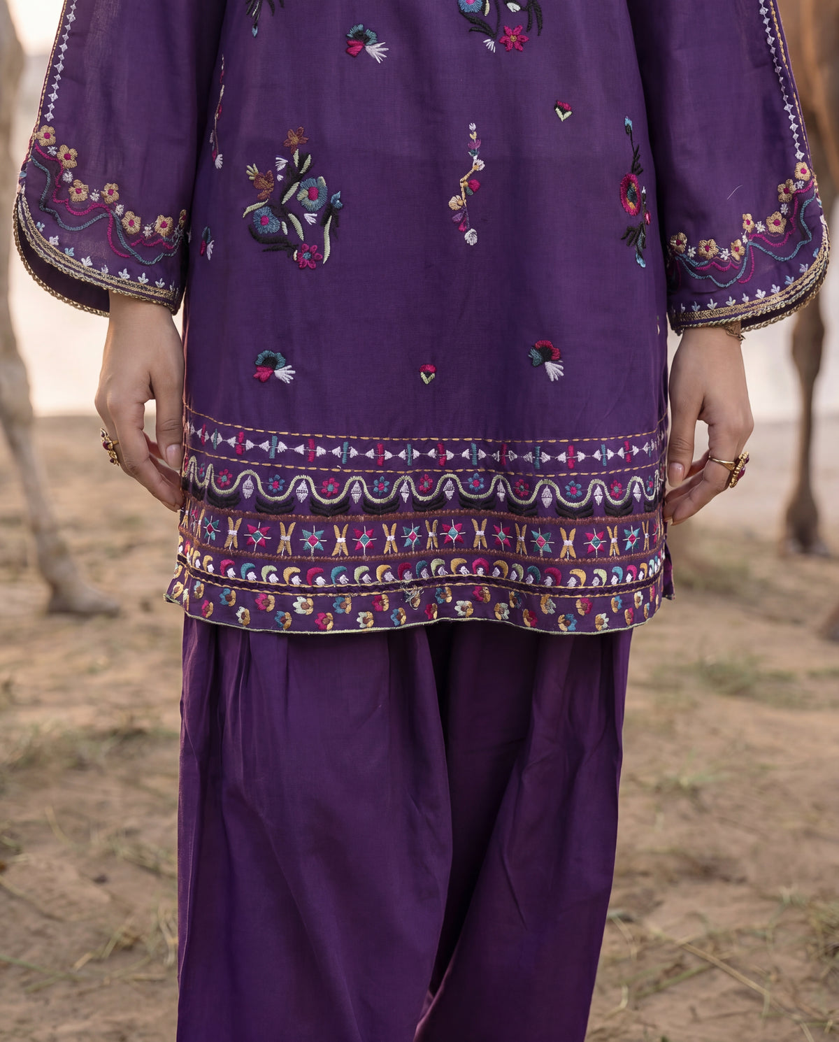 Sahibas by Mirza