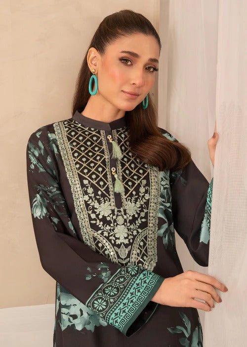 Sahibas by Mirza
