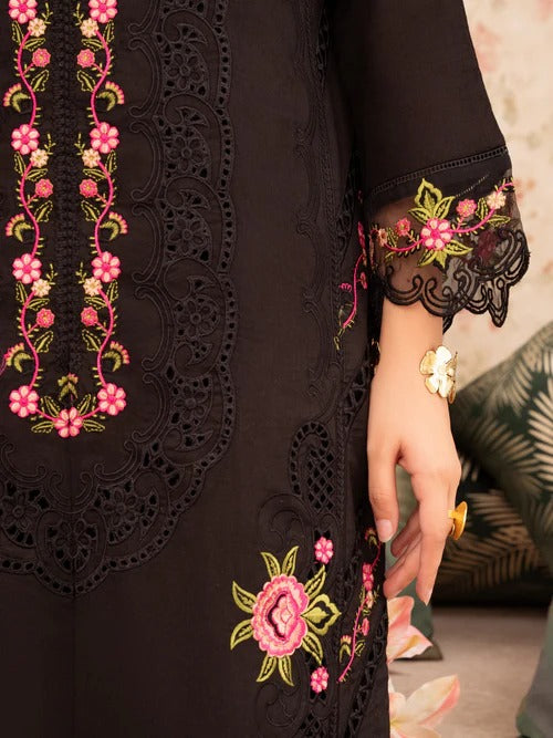 Sahibas by Mirza