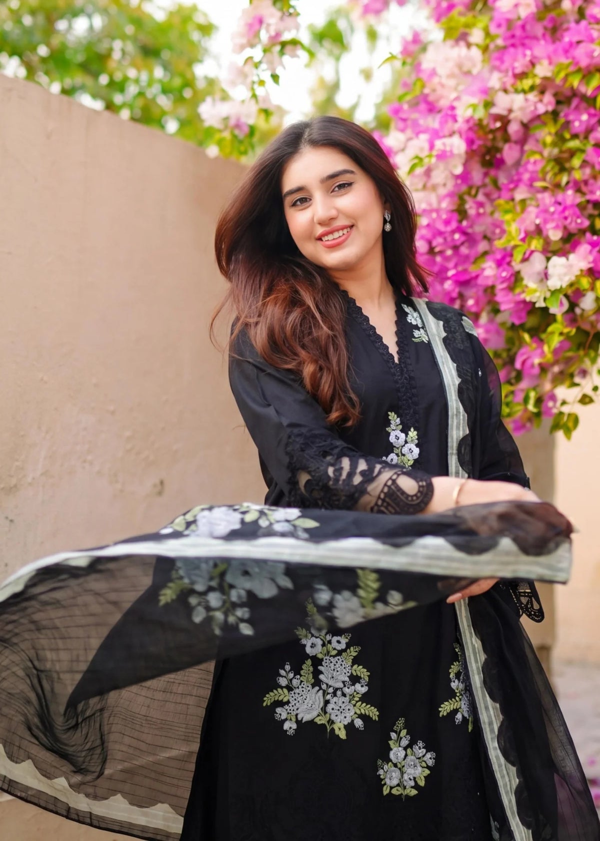 Sahibas by Mirza
