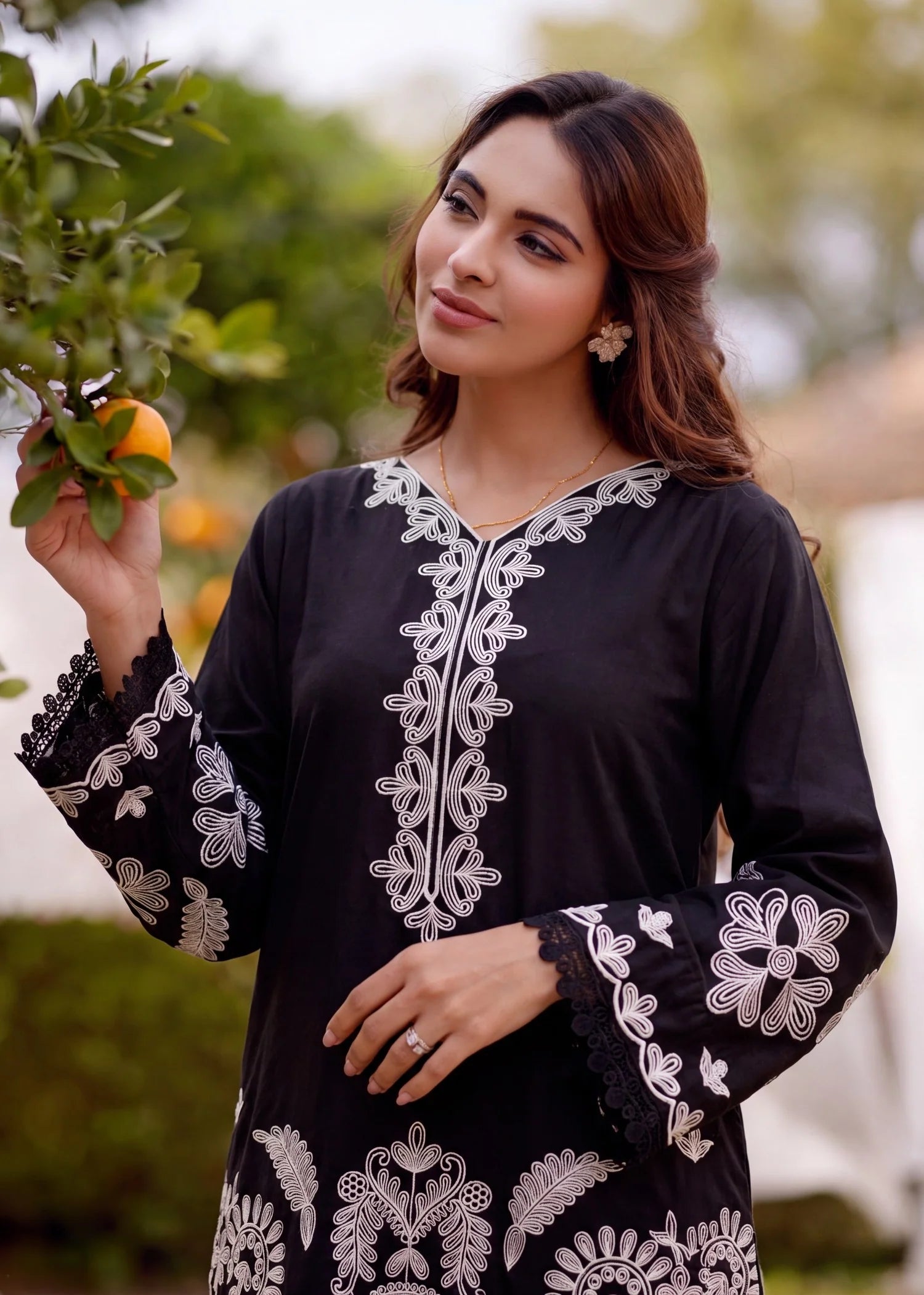Sahibas by Mirza