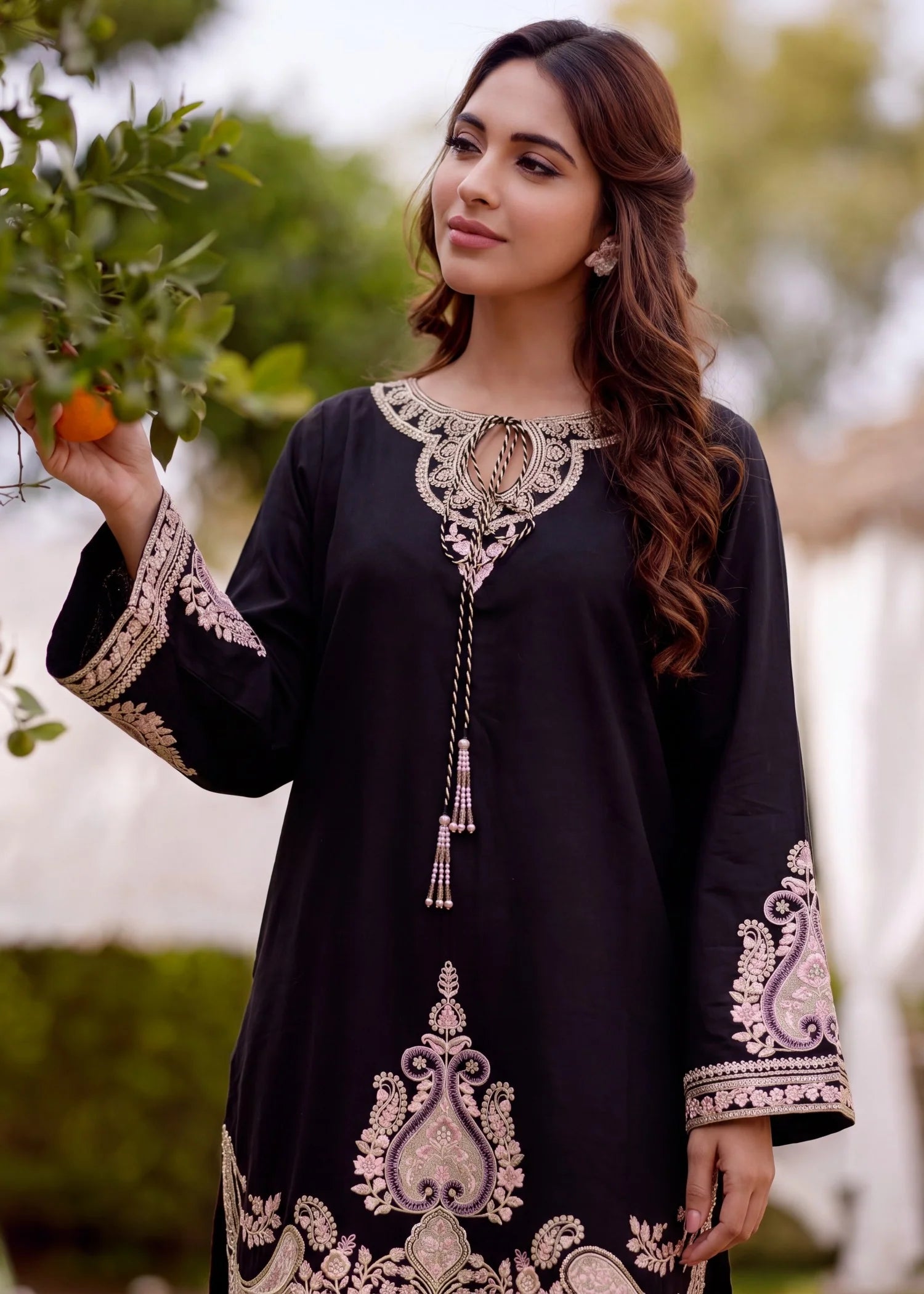 Sahibas by Mirza