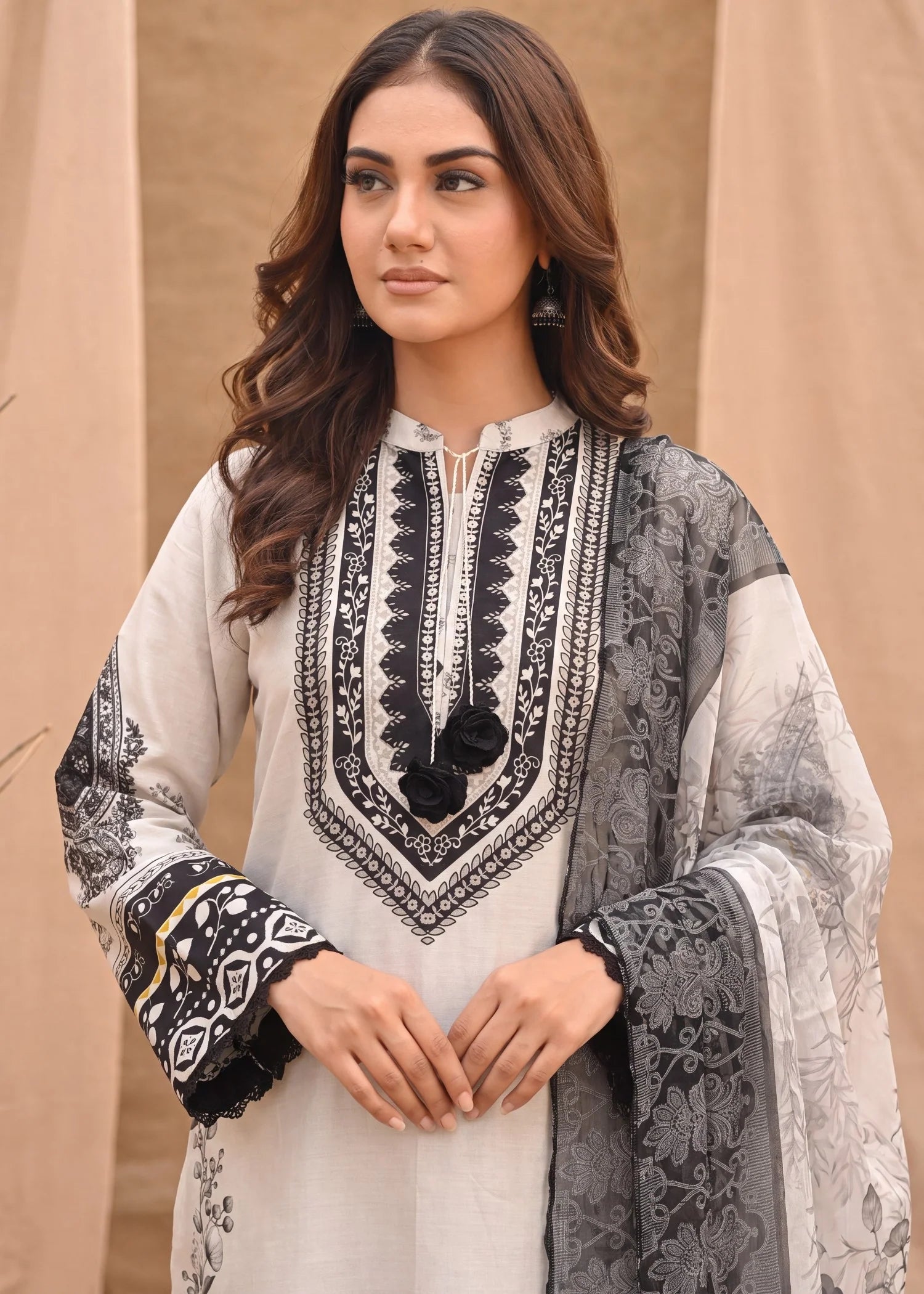 Sahibas by Mirza