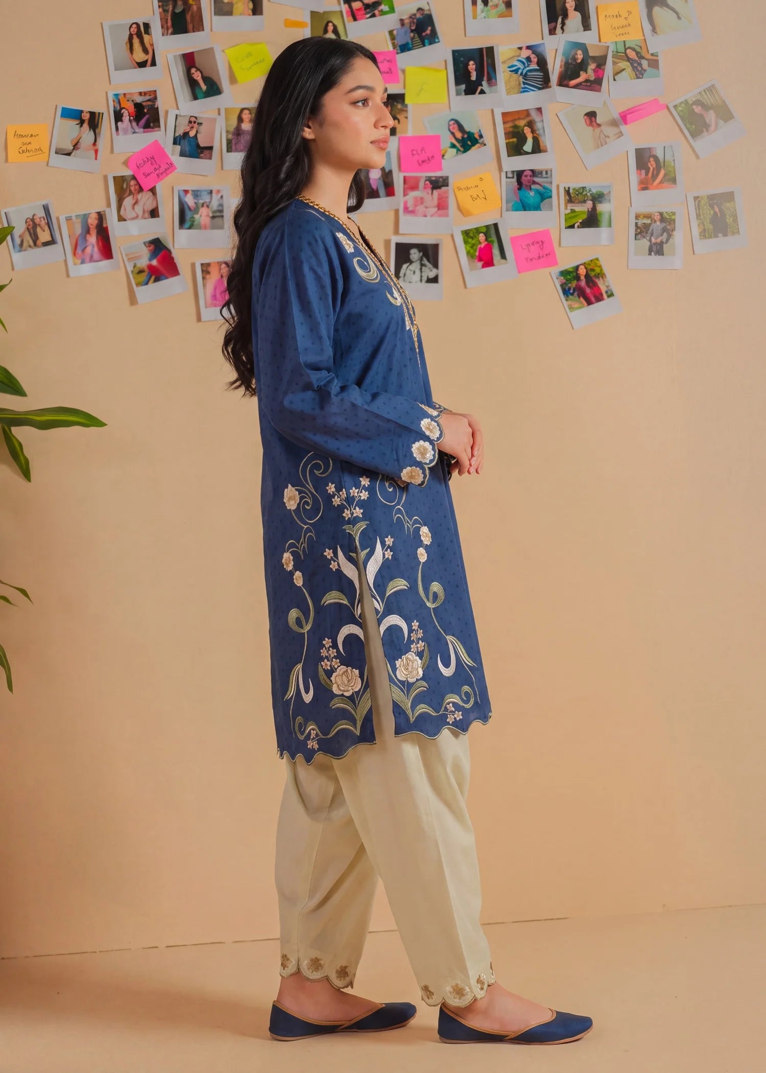 Sahibas by Mirza