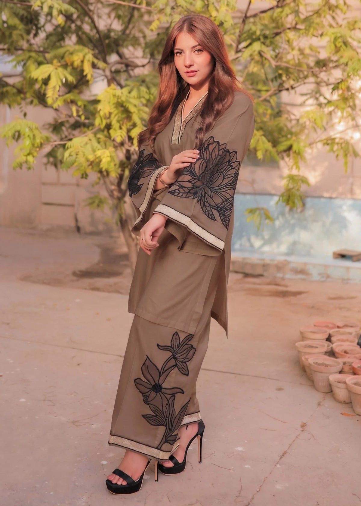 Sahibas by Mirza