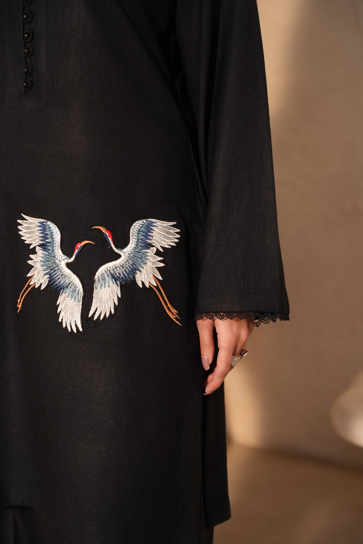 Sahibas by Mirza