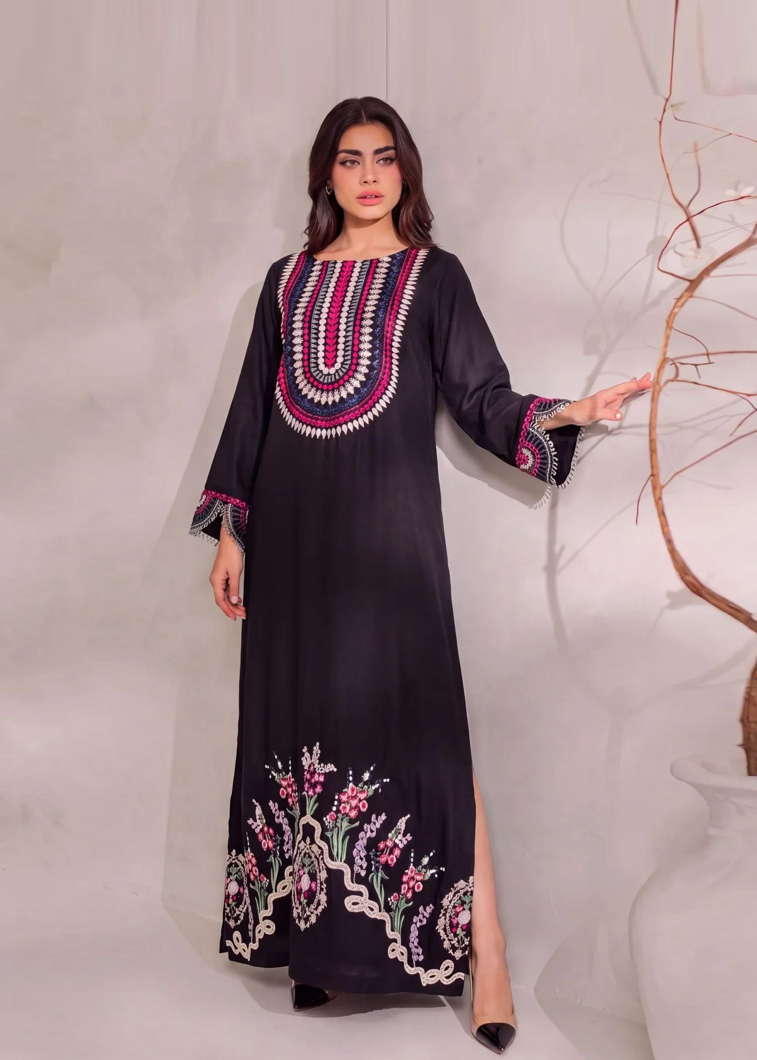 Sahibas by Mirza