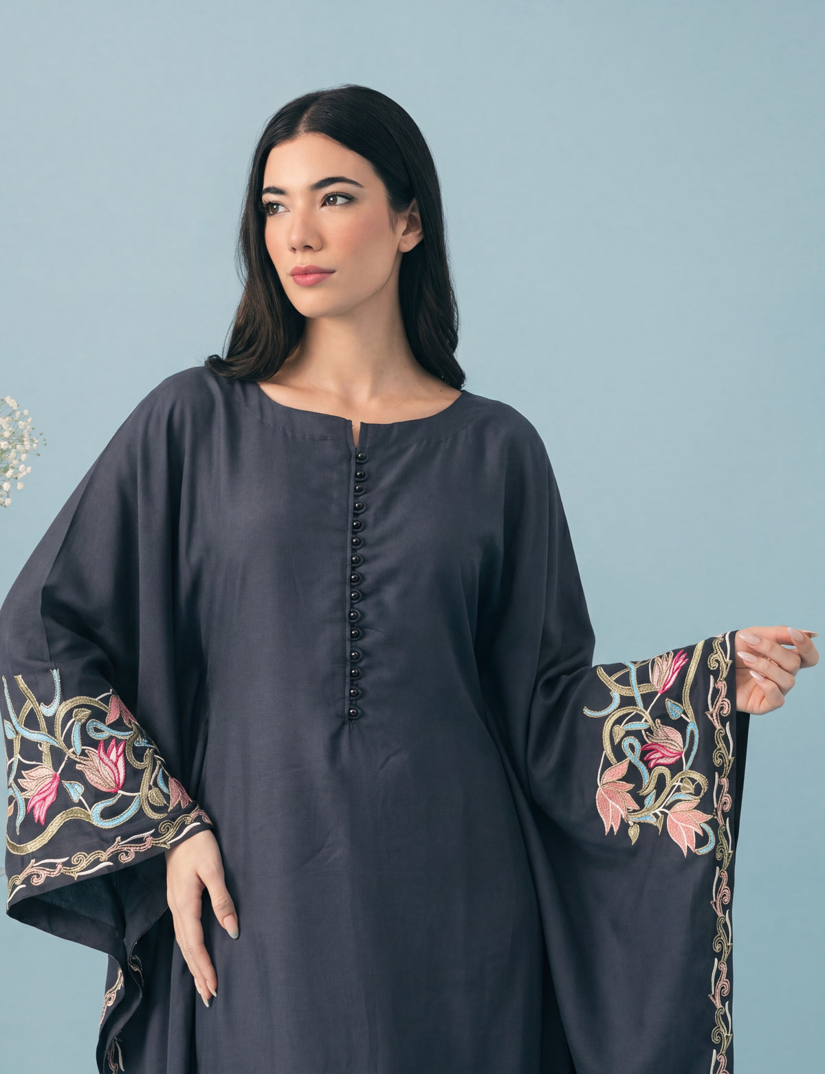 Sahibas by Mirza